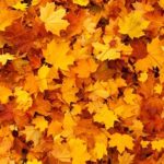 【気象病の人必見】対策はこれで決まり！寒い季節にはこれが効く！