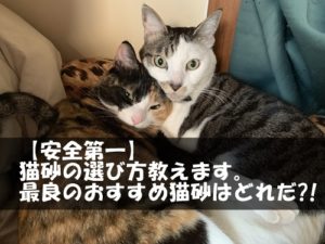 【安全第一】猫砂の選び方教えます。最良のおすすめ猫砂はどれだ?!