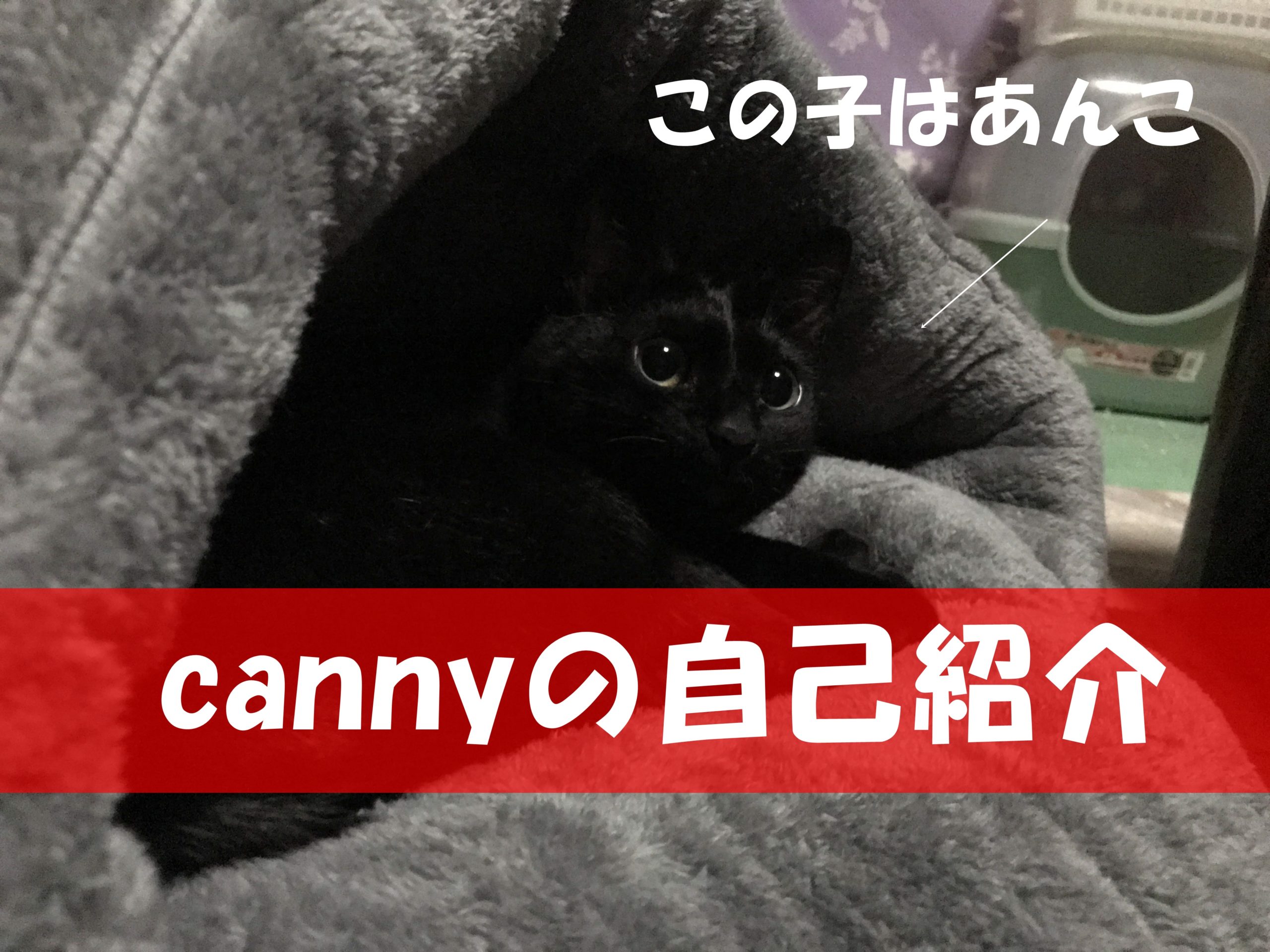 cannyの自己紹介